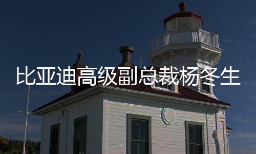 比亞迪高級副總裁楊冬生：“靈鳶”換電版主要搭載仰望品牌