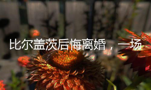 比爾蓋茨后悔離婚，一場(chǎng)引人注目的科技巨頭婚姻背后的故事