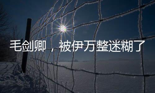 毛劍卿，被伊萬(wàn)整迷糊了