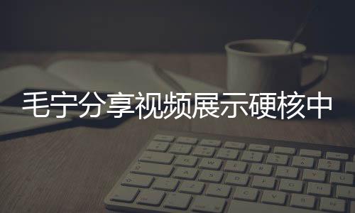 毛寧分享視頻展示硬核中國(guó)玩具，傳統(tǒng)與創(chuàng)新交融的玩具新風(fēng)尚