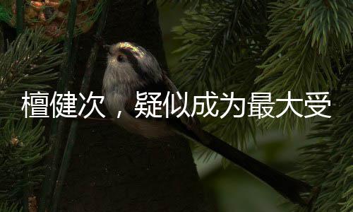 檀健次，疑似成為最大受害者，背后真相引人深思