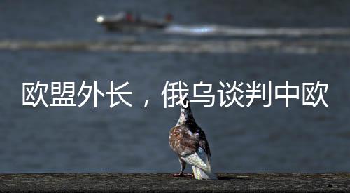 歐盟外長，俄烏談判中歐洲必須上桌