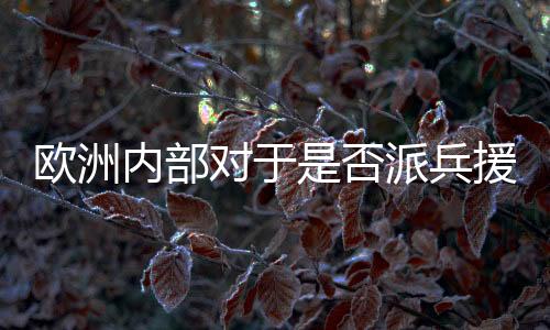 歐洲內(nèi)部對(duì)于是否派兵援烏陷入糾結(jié)