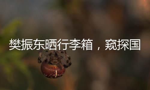 樊振東曬行李箱，窺探國(guó)乒一哥的行李背后的故事
