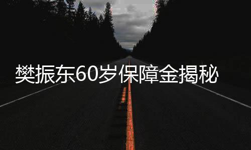 樊振東60歲保障金揭秘，月領六千并非夢想，揭秘其背后的多重保障