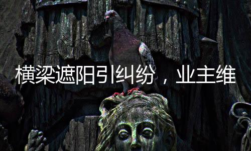 橫梁遮陽引糾紛，業(yè)主維權(quán)獲賠——一起新房擋光事件引發(fā)深思