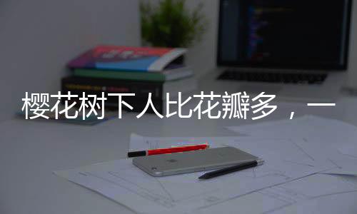櫻花樹下人比花瓣多，一場盛大的春日盛宴