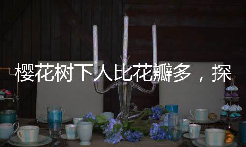 櫻花樹下人比花瓣多，探訪春日盛景，共賞櫻花之美