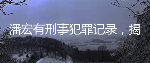 潘宏有刑事犯罪記錄，揭開真相的新聞深度報道