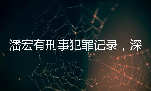 潘宏有刑事犯罪記錄，深度探究