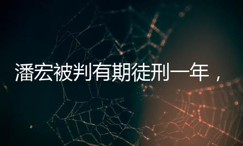 潘宏被判有期徒刑一年，細(xì)節(jié)揭示與法律解讀