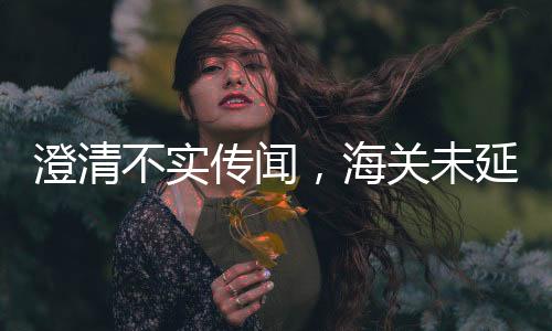 澄清不實(shí)傳聞，海關(guān)未延遲進(jìn)口煤炭檢查