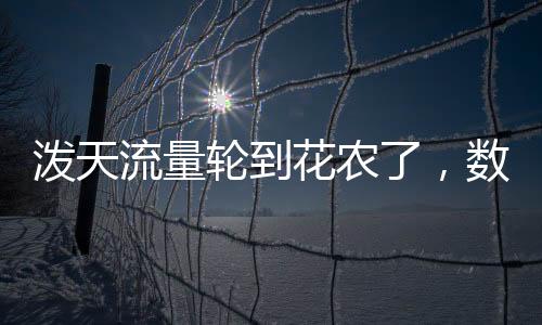 潑天流量輪到花農(nóng)了，數(shù)字化時(shí)代下的花卉產(chǎn)業(yè)新機(jī)遇