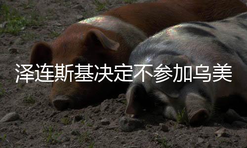 澤連斯基決定不參加烏美會談，烏克蘭外交策略出現(xiàn)新動向