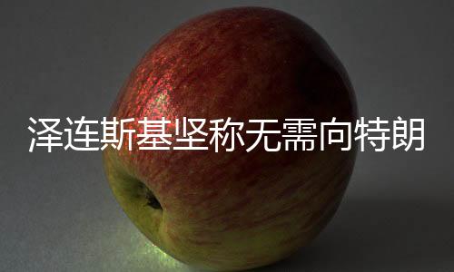 澤連斯基堅稱無需向特朗普道歉，俄烏對話與外交策略的最新解讀