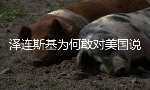 澤連斯基為何敢對美國說不？深度解析其背后的原因與考量