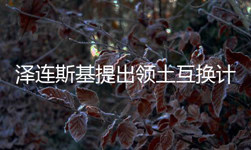 澤連斯基提出領土互換計劃，俄烏和平構(gòu)想引關注