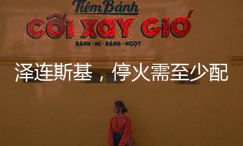 澤連斯基，?；鹦柚辽倥鋫涠f維和人員——俄烏局勢分析