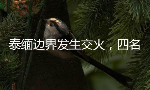 泰緬邊界發(fā)生交火，四名毒販斃命