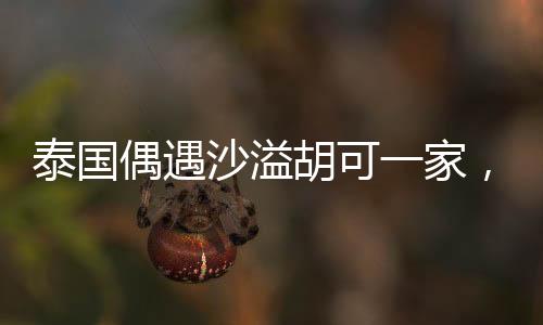 泰國偶遇沙溢胡可一家，明星家庭的溫馨旅行瞬間