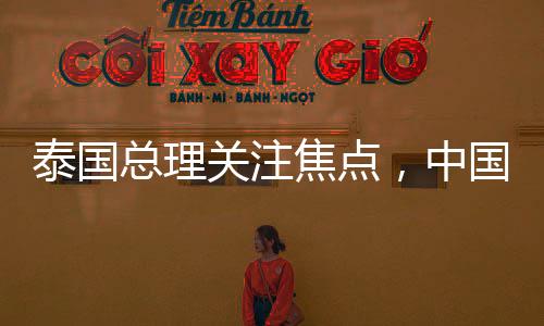 泰國總理關(guān)注焦點，中國女保鏢在泰國嶄露頭角，引發(fā)廣泛熱議