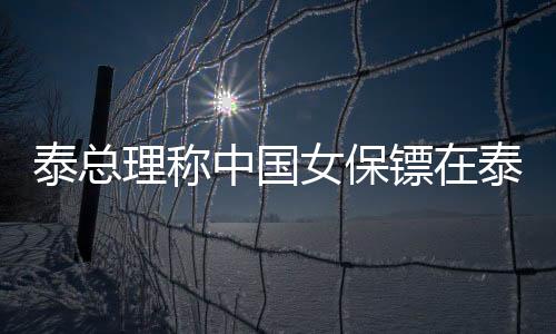 泰總理稱中國女保鏢在泰國也火了，跨國安全合作的矚目焦點