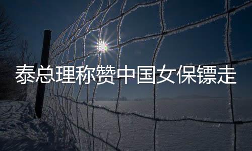 泰總理稱贊中國女保鏢走紅泰國，東西方安保文化的交流與融合