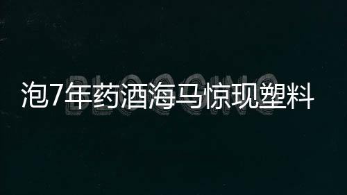 泡7年藥酒海馬驚現(xiàn)塑料成分，引發(fā)關(guān)注與探討
