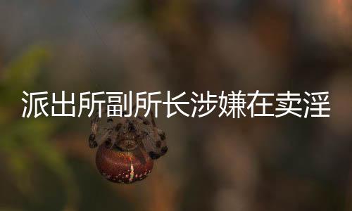 派出所副所長(zhǎng)涉嫌在賣(mài)淫案中徇私舞弊，引發(fā)社會(huì)關(guān)注
