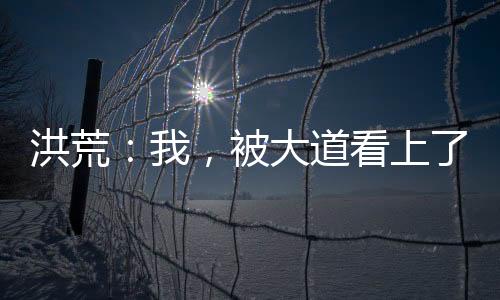 洪荒：我，被大道看上了