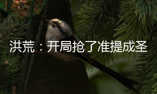 洪荒：開局搶了準提成圣蒲團！