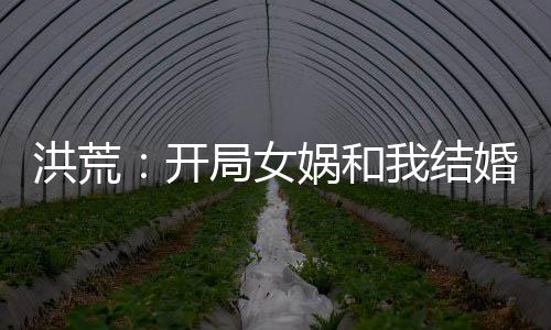 洪荒：開(kāi)局女媧和我結(jié)婚