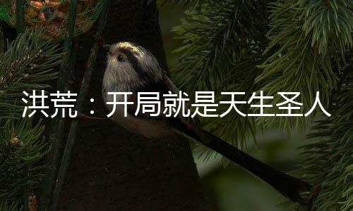 洪荒：開局就是天生圣人
