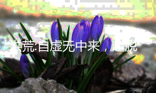 洪荒:自虛無中來，超脫混沌