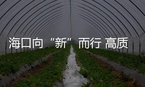 ?？谙颉靶隆倍?高質(zhì)量發(fā)展積厚成勢
