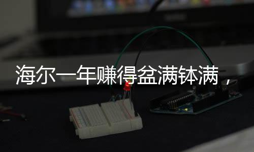 海爾一年賺得盆滿缽滿，成功背后的故事并非單一靠老板
