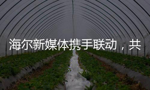 海爾新媒體攜手聯(lián)動(dòng)，共同守護(hù)老總安全上線——企業(yè)內(nèi)部信息化力量協(xié)同合作打造網(wǎng)絡(luò)守護(hù)線