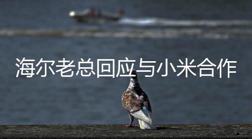 海爾老總回應(yīng)與小米合作的傳聞，開放合作，共創(chuàng)智能生態(tài)新篇章
