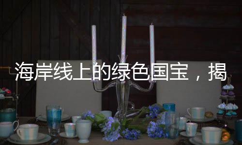 海岸線上的綠色國(guó)寶，揭示自然與文化的融合之美