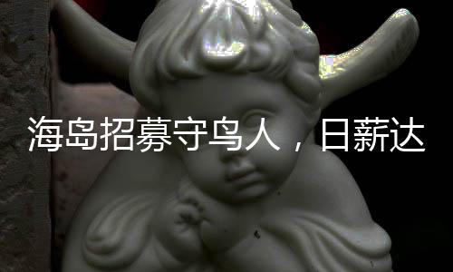 海島招募守鳥人，日薪達(dá)三百元