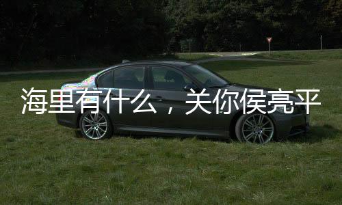 海里有什么，關(guān)你侯亮平屁事！