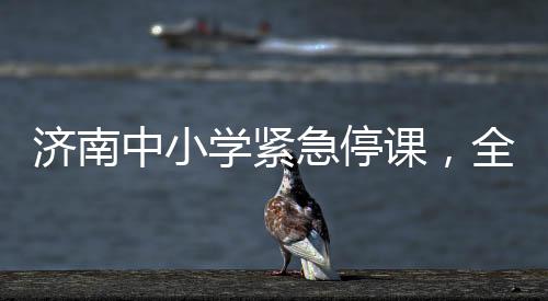 濟南中小學(xué)緊急停課，全市師生的安全與未來教育的新思考（一）