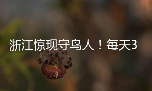 浙江驚現(xiàn)守鳥人！每天300元在海島住！環(huán)境優(yōu)雅有網(wǎng)絡(luò)覆蓋！神秘職業(yè)引人關(guān)注！