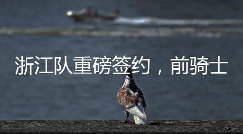 浙江隊(duì)重磅簽約，前騎士球員RJ-內(nèi)姆哈德加盟