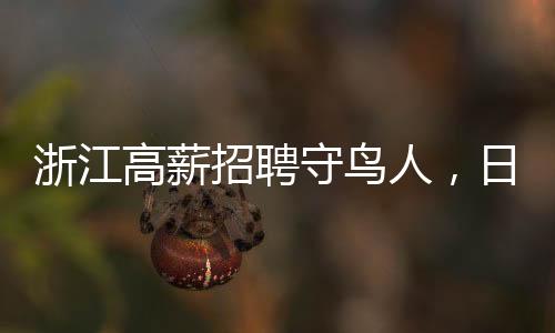 浙江高薪招聘守鳥人，日薪高達300元，需在海島居住四個月