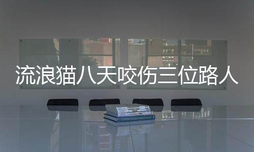 流浪貓八天咬傷三位路人，引發(fā)社會關注