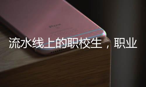 流水線上的職校生，職業(yè)教育在真實工作環(huán)境中的實踐與挑戰(zhàn)