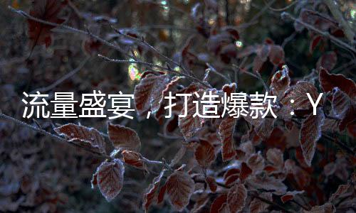 流量盛宴，打造爆款：Y3創(chuàng)作星秀計(jì)劃1月15日正式開啟