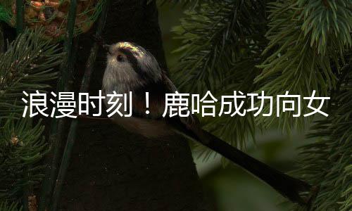 浪漫時刻！鹿哈成功向女友求婚成功