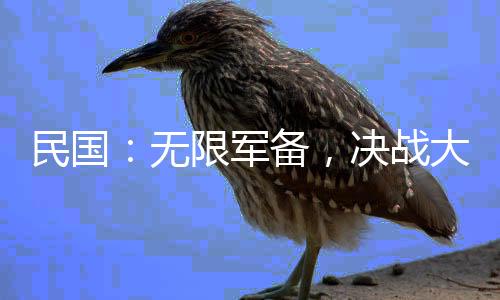 民國：無限軍備，決戰(zhàn)大滬灘